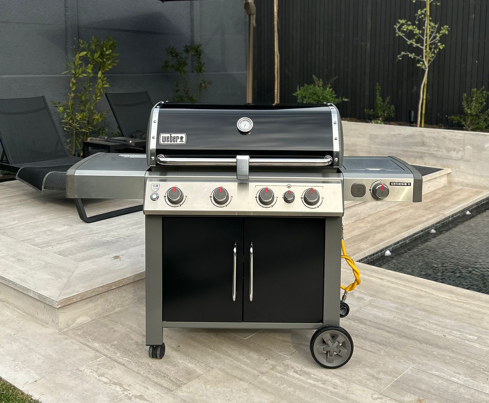 Mantención a domicilio de parrilla Weber Genesis