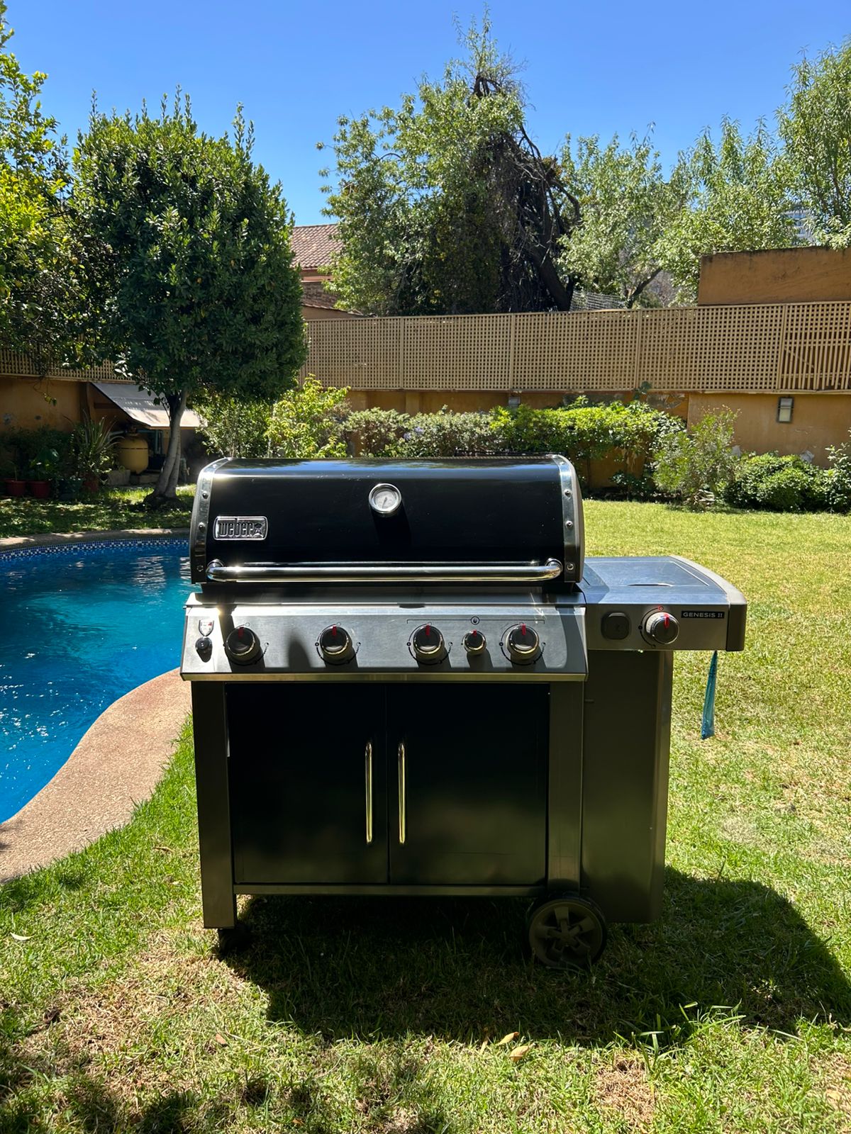 Parrilla Weber Genesis en jardín con piscina